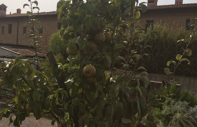 Corte Breda Agriturismo Bed & Breakfast - Foto 61