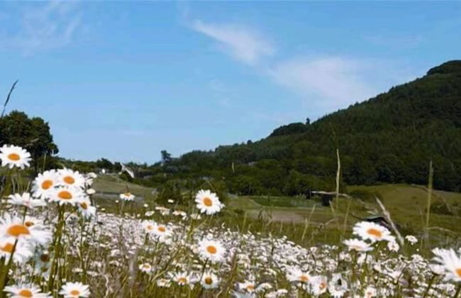 Vakantiehuisje Winterberg - Foto 11