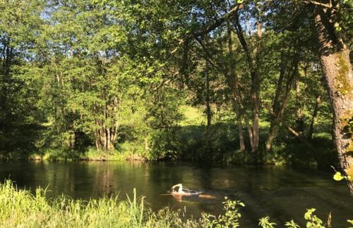 Dom Mossa - Photo 45