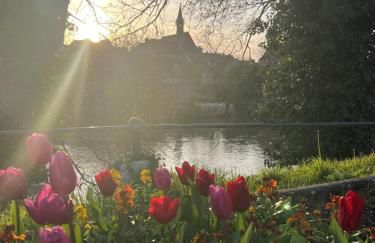 Le Ptit Gite de Chablis - Maison avec Cour en Centre-Ville - Foto 51