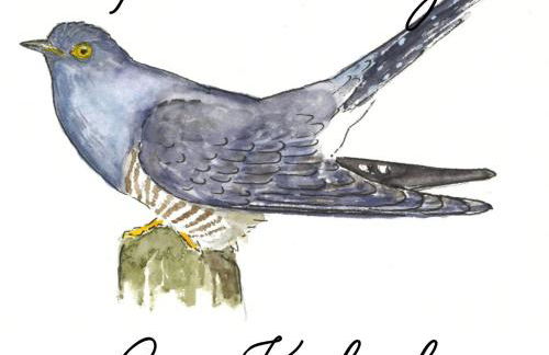 Ferienwohnung mit KönigsCard - Zum Kuckuck - Foto 10