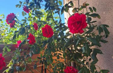 Lo Canto Chai Piscine Vignes et Mini-Ferme - Foto 48