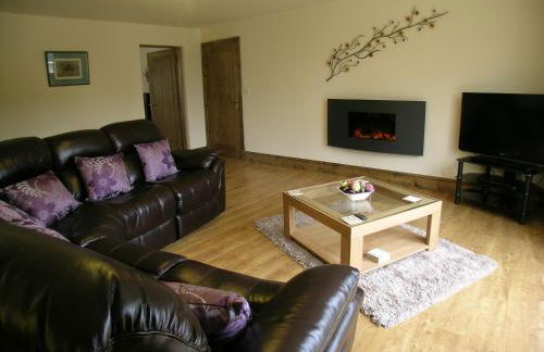 Fallow House - Photo 8