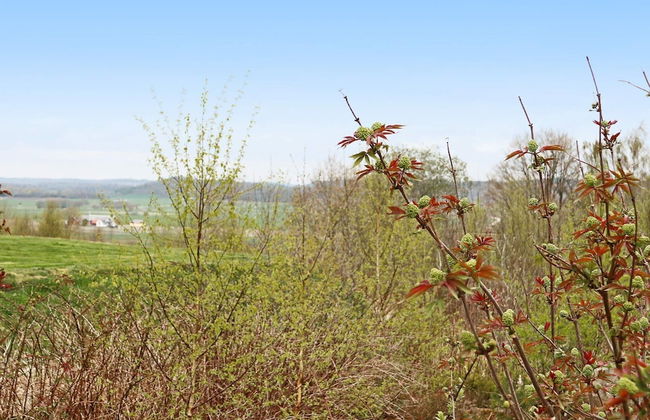 4 Person Holiday Home in Grimeton - Photo 9