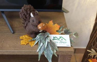 Green House - Photo 47