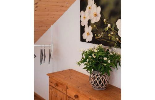 Country house on the Dachsberg - Foto 12