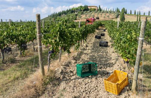 Argiano Dimore Wine Relais - Foto 125