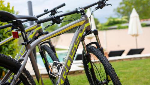 Villa Milka Charming family villa near Rabac - Foto 5