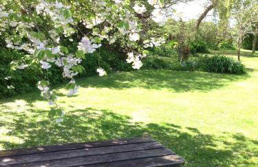 The Home Barn at Cornish Barn Holidays - Foto 20