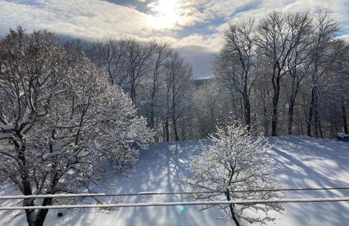Ferienwohnung Schepkowski - Foto 22