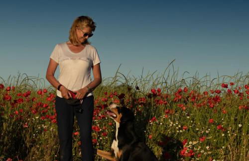 Villa Kunterbunt: Urgemütlich und fast perfekt - Foto 33