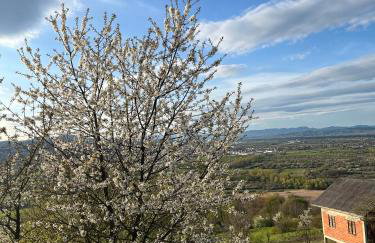 Kuća za odmor Bellevue - Foto 27