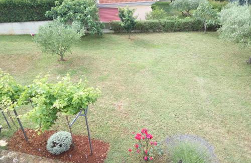 Apartment Asparagus - Photo 22