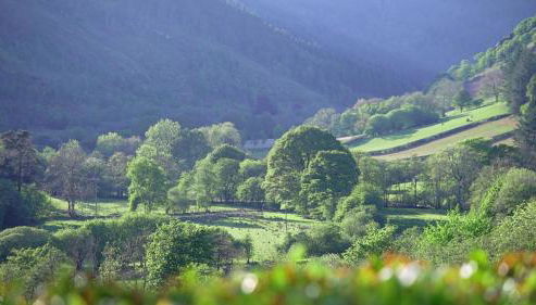 Kilsby Cottage - Foto 3, Garden view