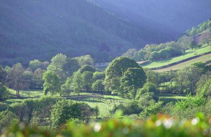 Kilsby Cottage - Foto 3