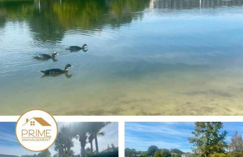 Cozy 4bdhome By Lake Prime Location Disney - Foto 29