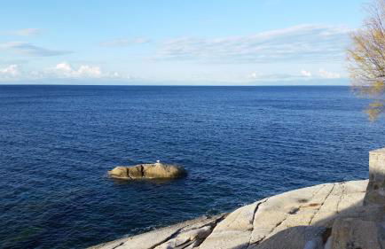 Appartamenti - Villa Mare - Foto 33