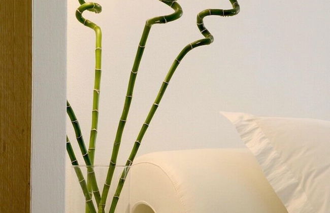 Petasos Beach Resort & Spa, Small Luxury Hotels of the World - Photo 20