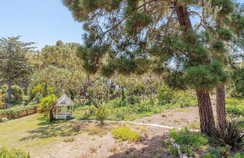 3900 Palm House on Cabrillo home - Foto 43