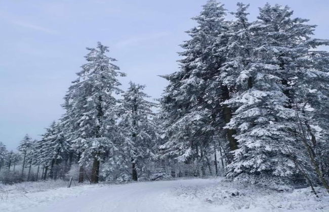 Apartment in Heringhausen Near Ski Lift - Photo 34