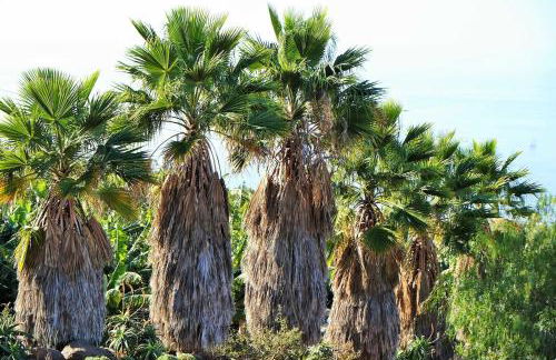 Casa PERSEIDAS - Foto 41