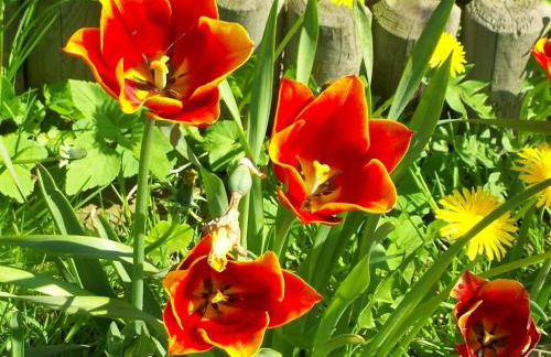 Landhaus op de Warft - Foto 27