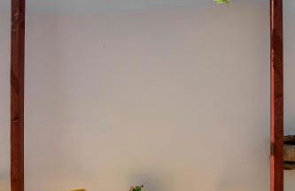 SNÖ Camino do Eume Apartamentos - Photo 37