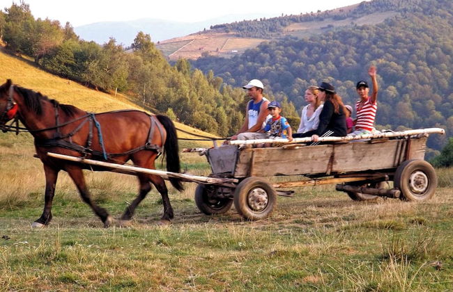 Casa Zollo - Foto 26
