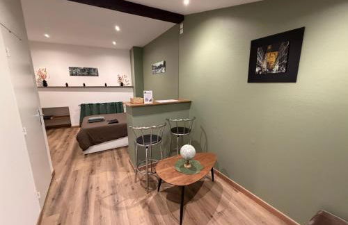 New Le Chouch'heim F1 27 m2 Renovated 2025 clim tv internet - Foto 19