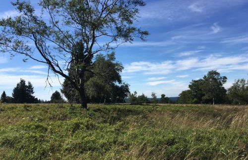 Ferienwohnung Brandenburger - Foto 33