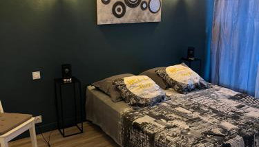 Appartement T3 plein centre ville - Foto 4