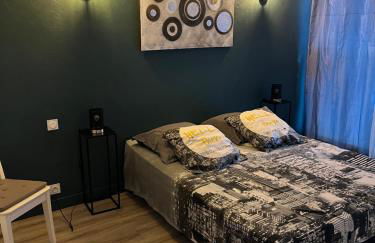 Appartement T3 plein centre ville - Foto 4