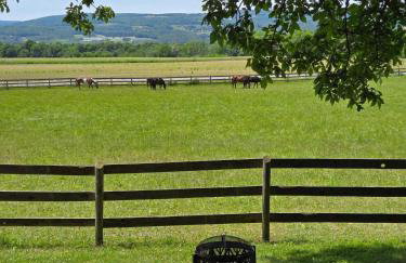 Charming Country Cabin- Cozy, Scenic View, HOT TUB, near CMAC - Foto 38