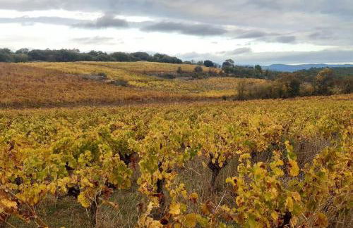 LA PASTOURELLE - Foto 18