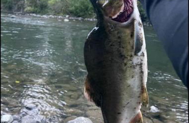 Tony's Riverside Oasis - Foto 53