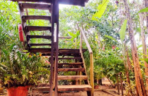 Hospedaria Recanto da Paz - Foto 80