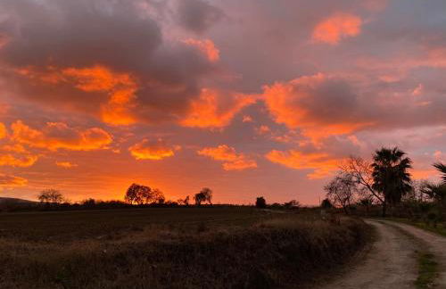 Casa Ruris - Country residence - Foto 12
