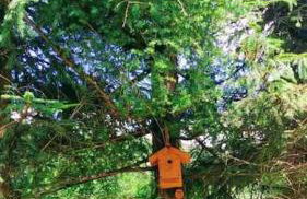 Kaczmarówka - Foto 75