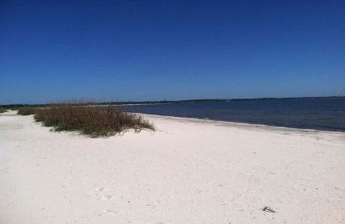 Hotty Toddy - Foto 54