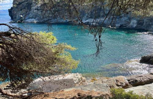 HOUSE OF PARADISE ROSES - Foto 51