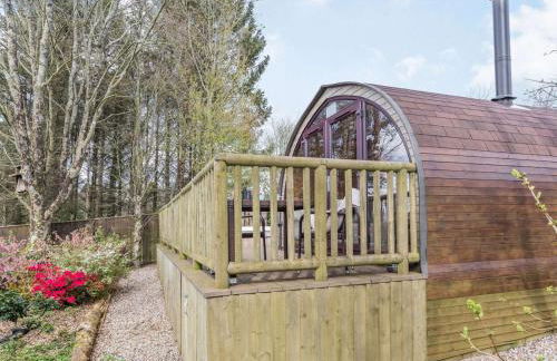 The Pod overlooking Dartmoor - Foto 11