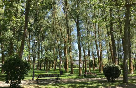 Apartamento La Herradura - Photo 10