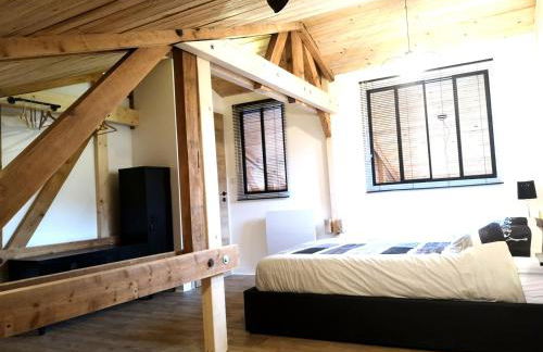 Cocon de caractère au cœur des vignes Alsaciennes - Foto 10