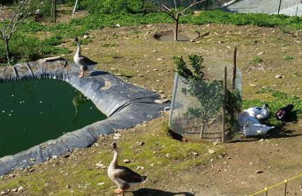 Casa grande Covelinhas - Foto 14