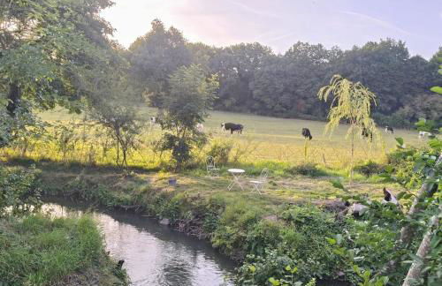 Gîte de rural de 15 personnes, bain nordique, rivière et nature - Foto 36