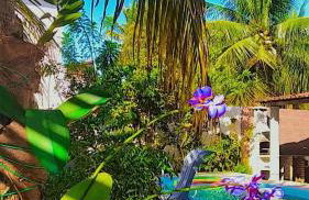 Casa em Mundaú Trairi-Ce - Foto 72