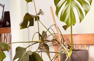 Luxus Loft im Herzen von Bochum Werne. - Foto 9