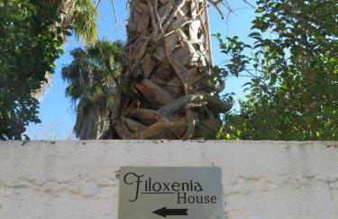 Filoxenia House at Anemochori village - Foto 23
