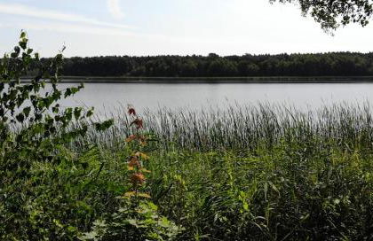 Tiny House am Ranziger See - Foto 28