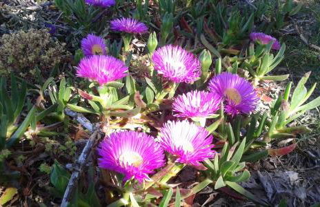 Atelier dei Ciliegi - Foto 27